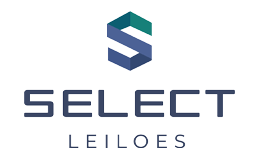 Leilão Modelo